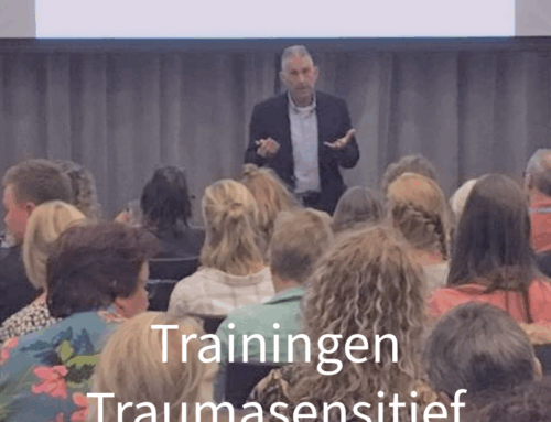 Onderwijstrainingen Traumasensitieve School